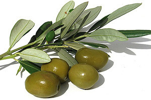 Simfonija okusa, mirisa i aroma
