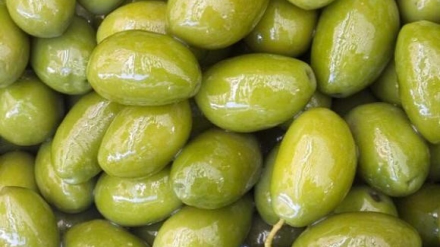 Održana Maslina Split 2010.