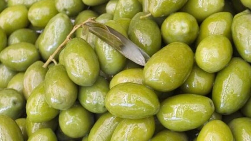 Noćnjak 2010. promocija maslinarstva