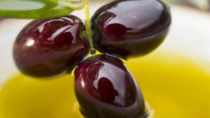 Obitelj Kardum ima najkvalitetnije maslinovo ulje