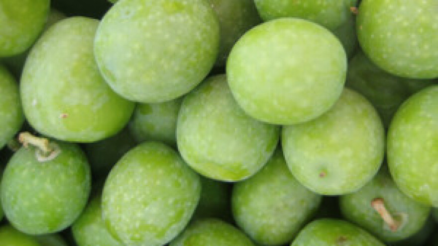 Poljoprivrednici nisu uzeli državni novac