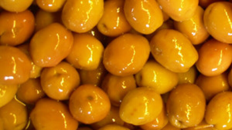 Projekt prikupljanja i zbrinjavanja komine masline