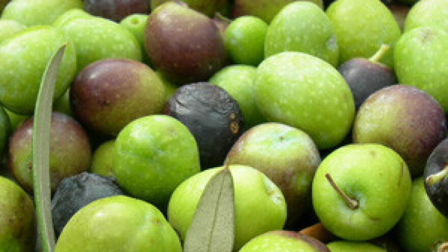 Četvrti festival maslinova ulja