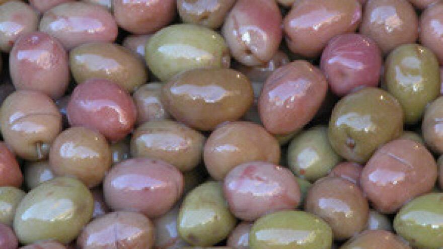 Održani Dani mladog maslinovog ulja u Vodnjanu