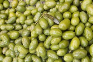 Država potiče prodaju maslinova ulja na crno