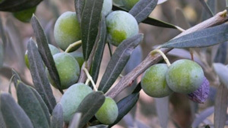 Nema poticaja za parcele manje od 500 metara četvornih