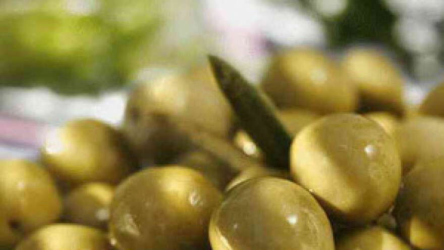 Dani maslina u Zadru