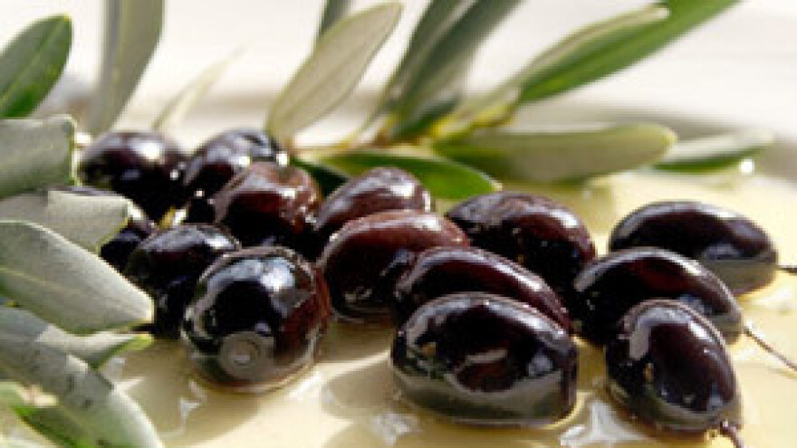 Renesansa otočnog maslinarstva