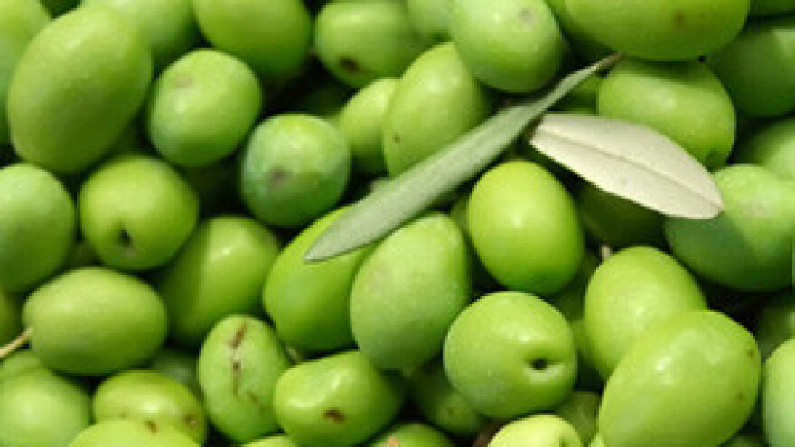 Seminar "Prednosti ekološkog maslinarstva"