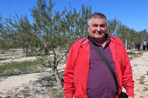 Dragan Mikulić: Oblica mi daje i po 70 kila maslina