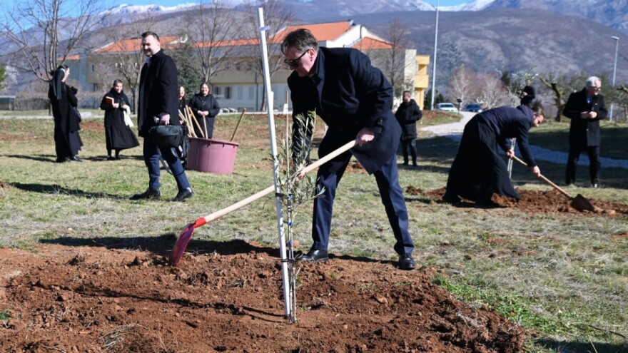U Mostaru podignut "Maslinik nade": I ministar se uhvatio lopate