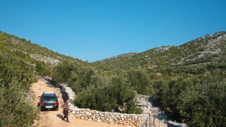 Prodaja državnog maslinika u Malom Lošinju