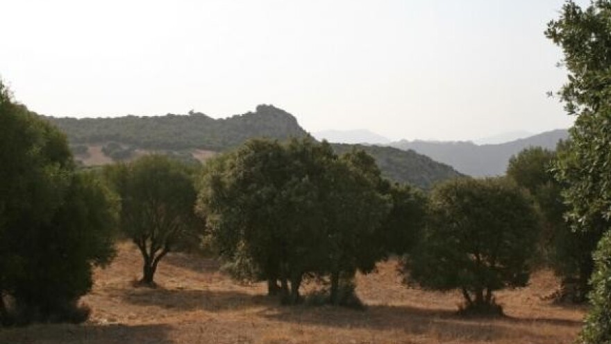 Za nove nasade 600.000 kuna