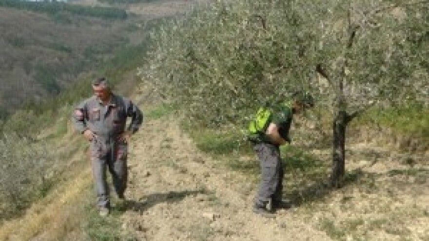 Nove tehnologije u poljoprivredi - Mikorizacija