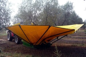 Iz superintenzivnog maslinika dobio 750 litara ulja