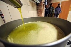 Kako je maslinovo ulje srušilo grčku ekonomiju!