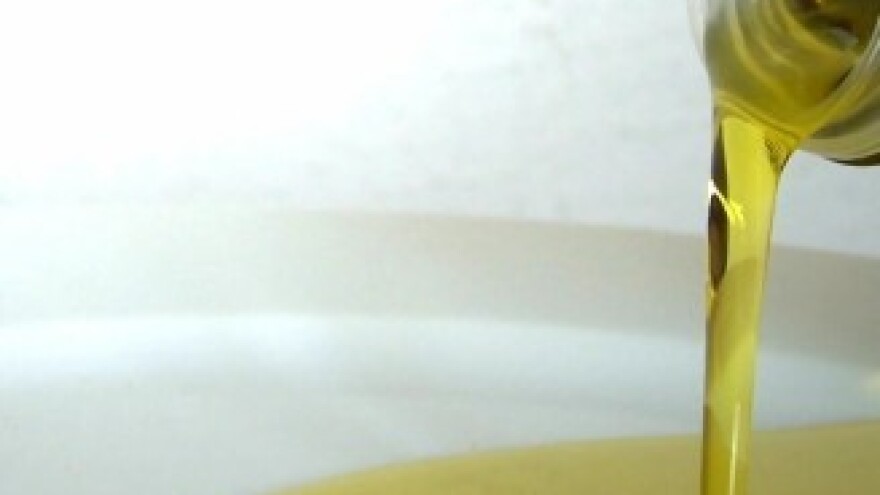 Noćnjak 2009 u Dubrovniku