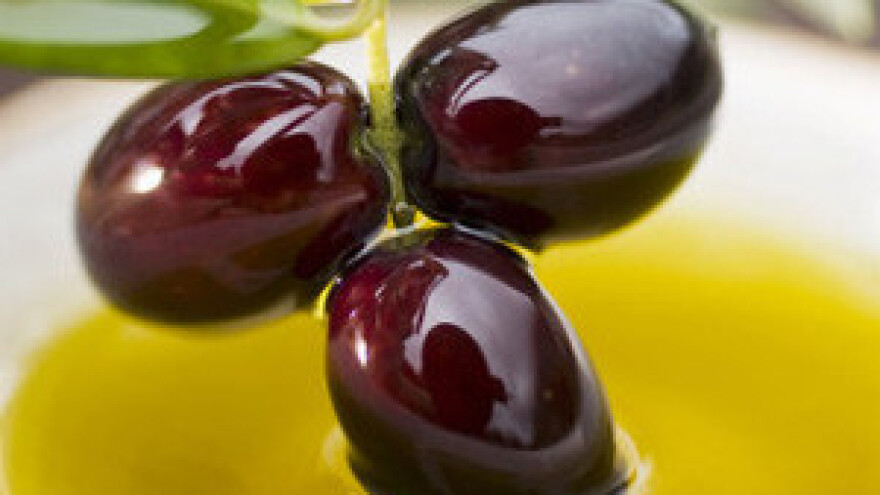 Održana manifestacija Maslinova ulja hrvatskog juga