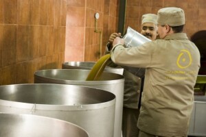Tunisko maslinovo ulje preplavit će EU tržište!