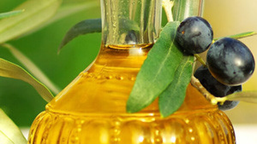 Vodnjanske masline daju ulje svjetske klase