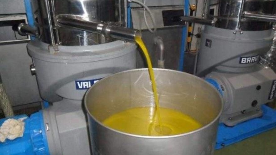 Pomoć Tunisu ne smije ići na štetu HR maslinara