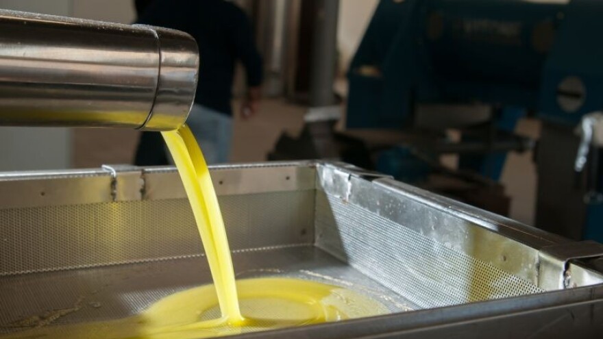 Jakovčić: Prihvaćene mjere zaštite EU maslinara