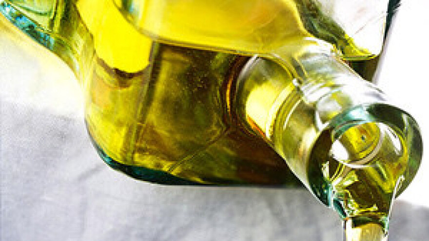 Susret maslinarske elite - Noćnjak 2010.