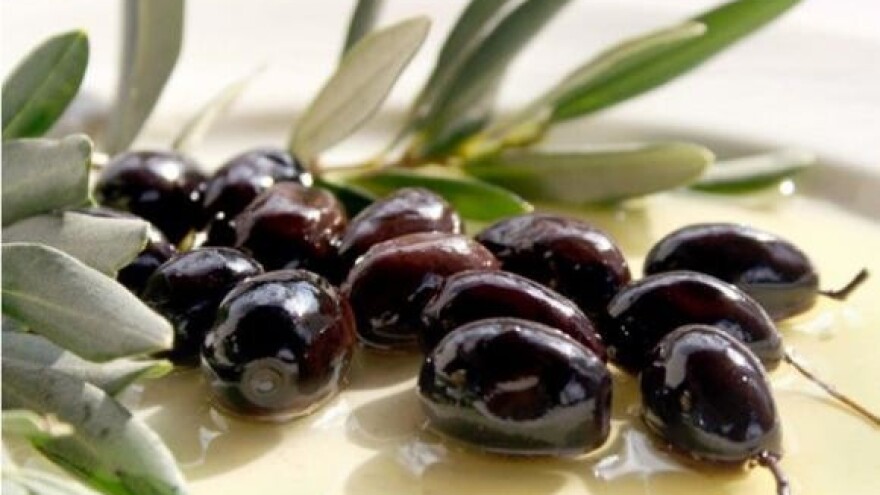 Maslinova ulja hrvatskog juga