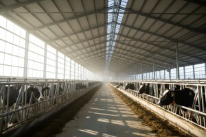 Mastodonti opet dobri - Damir Rukovanjski