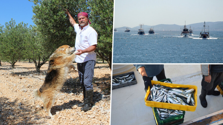 Budi se zdravo hrvatsko zadrugarstvo