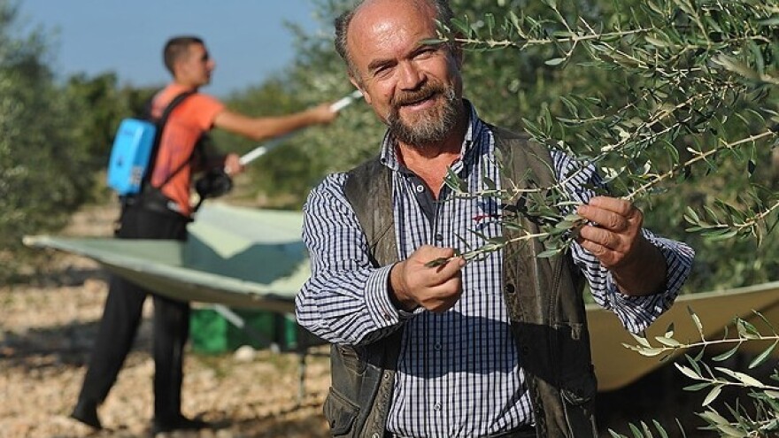 Od opožarenog zemljišta do razvojnog primjera!