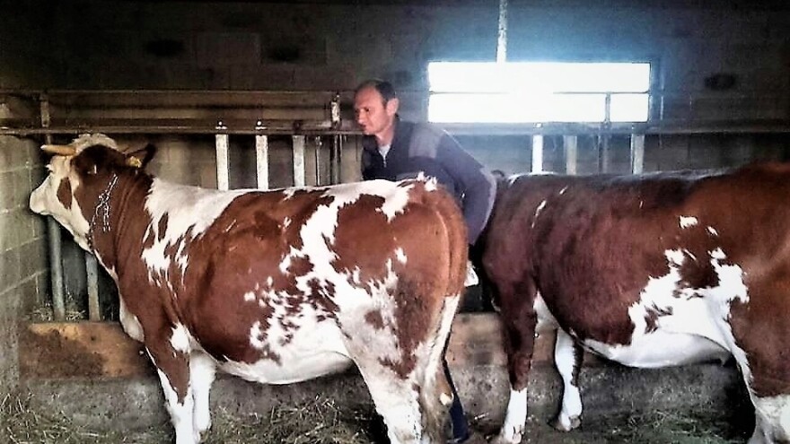 Mušaluk: malo selo s puno uspješnih poljoprivrednika, Mate Štimac jedan je od njih