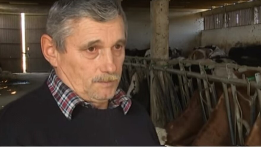 Austrijske klaonice prepune hrvatskih krava!