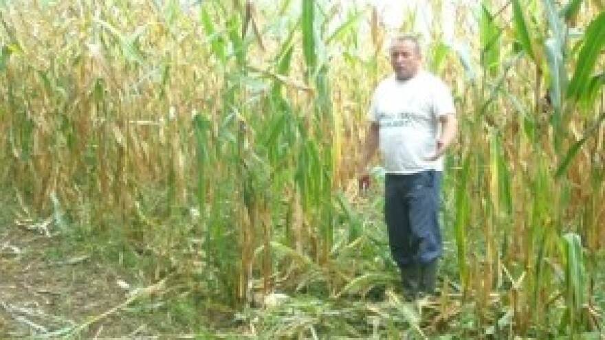 Pravilnici pogoduju lovcima