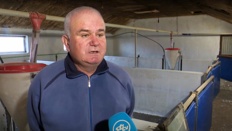 Mato Mihić: Prasci od 25 kg uskoro bi mogli koštati 100 eura