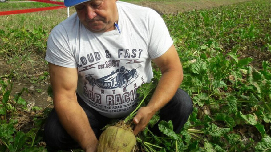 Štete od suše više ne može podmirivati država!