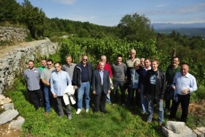 Zadnji dan prijave na natječaje iz vinskog sektora