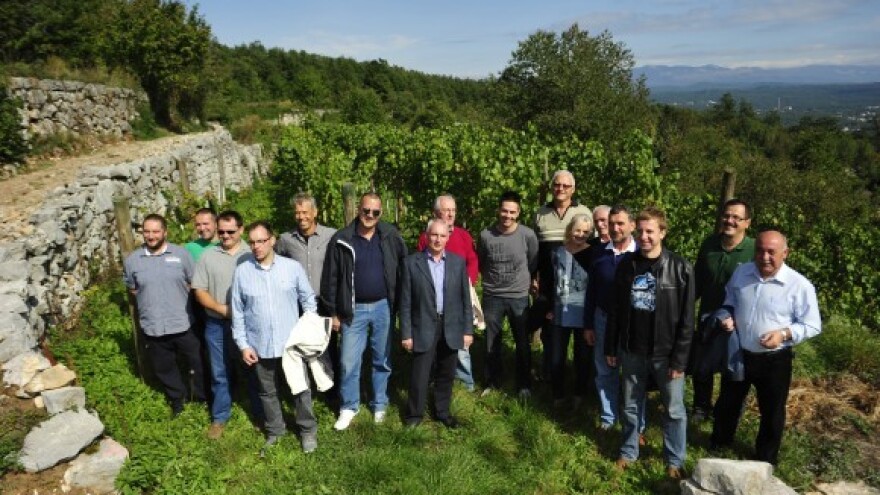 Zadnji dan prijave na natječaje iz vinskog sektora