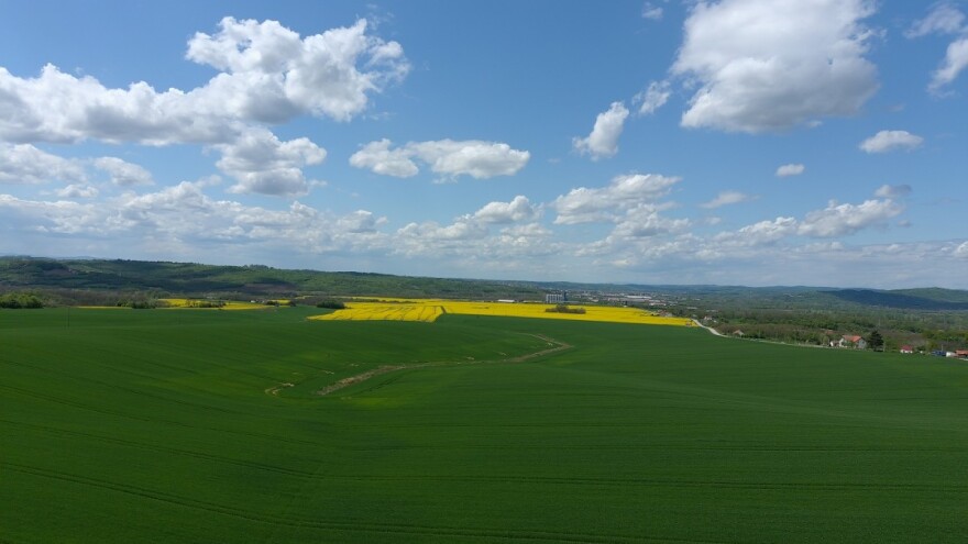 Proizvođači se uzdaju u visoke izlazne cijene pšenice i uljane repice