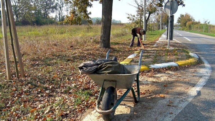 Žir: Pomalo zaboravljen dodatak u ishrani stoke
