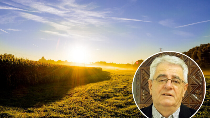 Rujanska kiša zlato je njivama, a otrov vinogradima