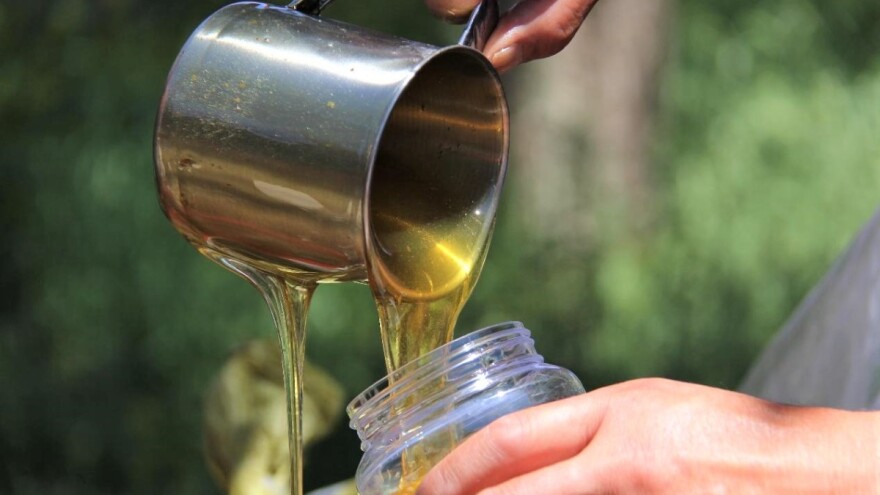 Od 10. avgusta uzorkovanje meda u račanskom Pogonu