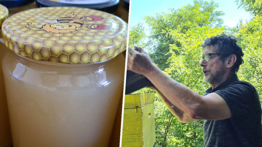 Zašto med kristalizira i je li takav siguran za konzumaciju?