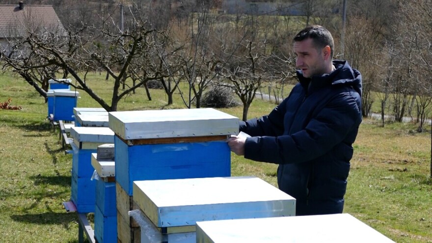 Vjerujte pčelarima, ne etiketama: U teglama su savršene "kopije" meda