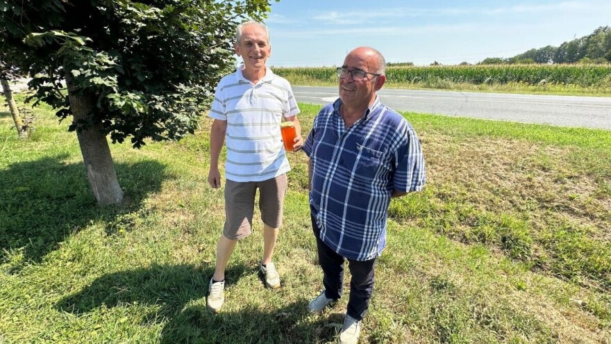 Kako su pčele podnijele toplinski val i je li upitan prinos meda - znaju stručnjaci