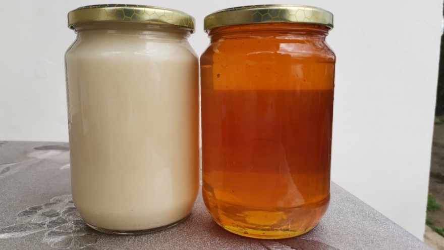 Za šta je dobar med od uljane repice?