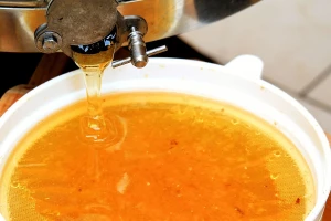 Med-prom izvezao 2.000 kg meda u Kuvajt