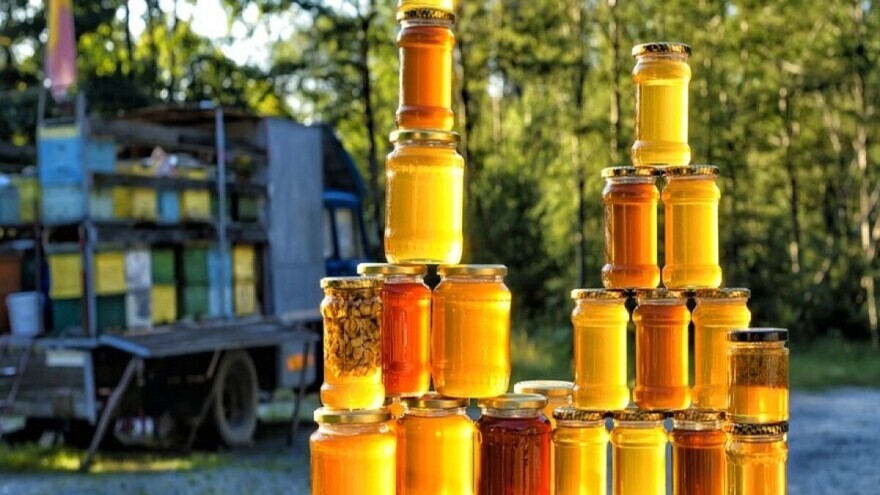 Kako da registrujete objekat za proizvodnju meda