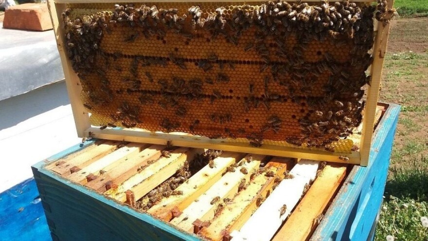 Meda će biti, ali se postavlja pitanje - kome ga prodati?