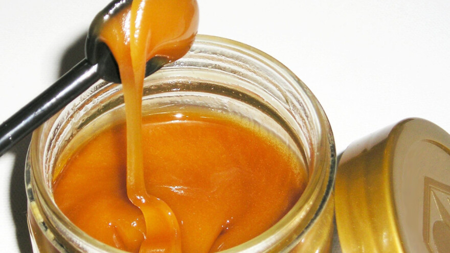 Eko proizvodi na bazi meda prilika za popunu kućnog budžeta